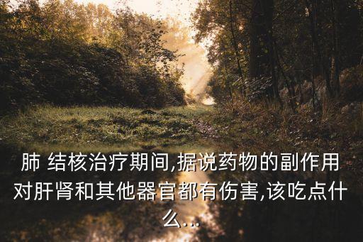 肺 結核治療期間,據說藥物的副作用對肝腎和其他器官都有傷害,該吃點什么...