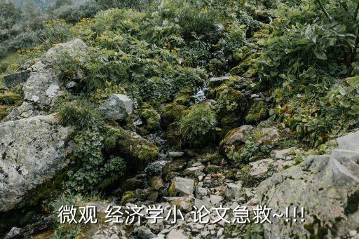 微觀經(jīng)濟(jì)學(xué)論文,大一微觀經(jīng)濟(jì)學(xué)論文