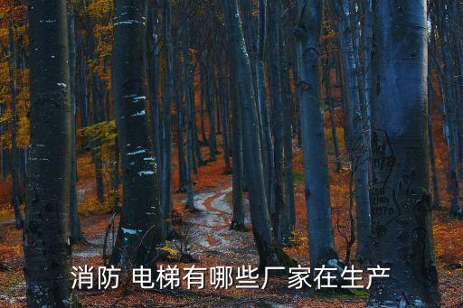 消防 電梯有哪些廠家在生產