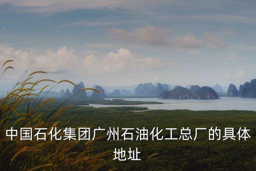 中國石化集團廣州石油化工總廠的具體地址