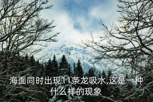 海面同時(shí)出現(xiàn)11條龍吸水,這是一種什么樣的現(xiàn)象