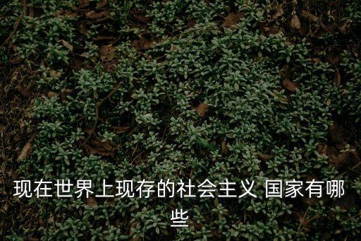 現在世界上現存的社會主義 國家有哪些