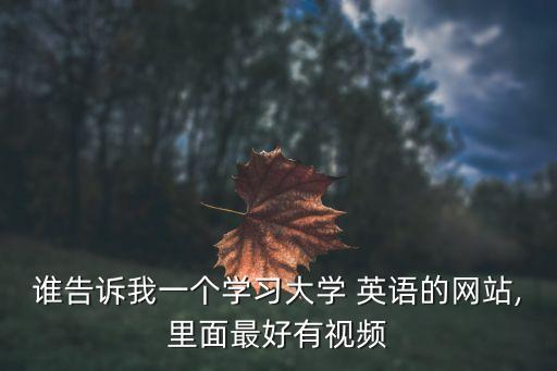 誰告訴我一個學習大學 英語的網站,里面最好有視頻