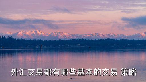  外匯交易都有哪些基本的交易 策略