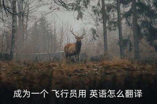 飛行員英語,飛行員英語icao考試內容有哪些?
