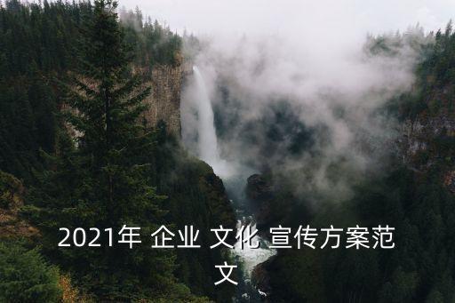 2021年 企業 文化 宣傳方案范文