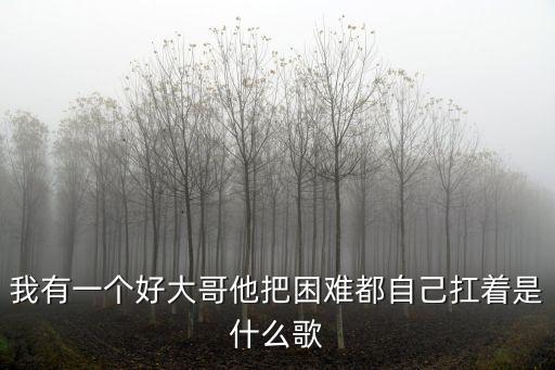 我有一個(gè)好大哥他把困難都自己扛著是什么歌