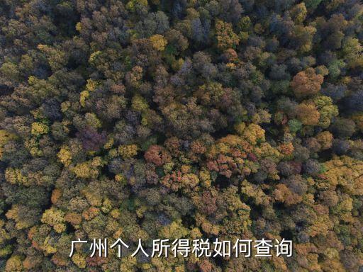 廣州個人所得稅如何查詢