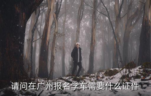 請問在廣州報名學車需要什么證件