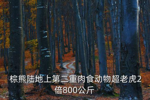阿拉斯加棕熊,科迪亞克棕熊和阿拉斯加棕熊