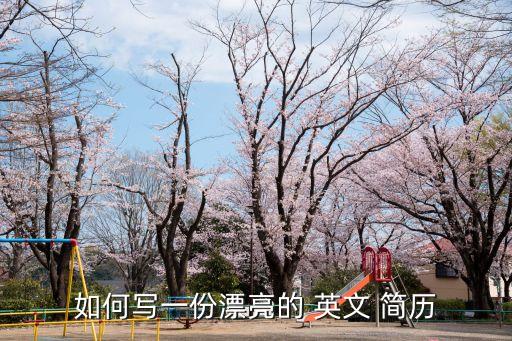 英文簡歷怎么寫,個人英文簡歷怎么寫