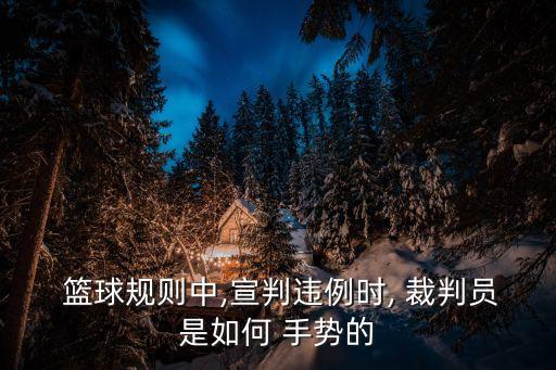  籃球規則中,宣判違例時, 裁判員是如何 手勢的