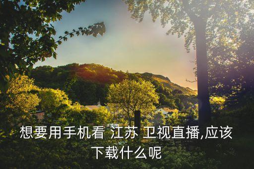 江蘇衛視回看