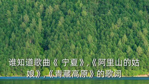 寧夏梁靜茹,歌曲寧夏梁靜茹