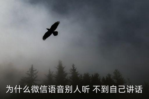為什么微信語音別人聽 不到自己講話