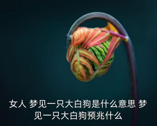 夢見白色的狗