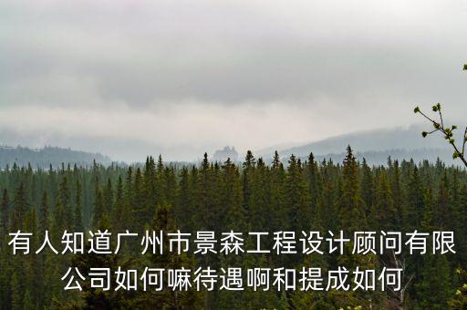 有人知道廣州市景森工程設計顧問有限公司如何嘛待遇啊和提成如何