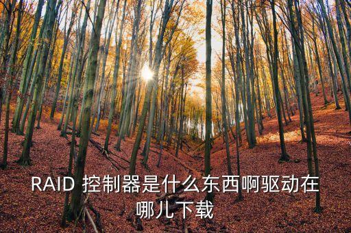 RAID 控制器是什么東西啊驅(qū)動(dòng)在哪兒下載