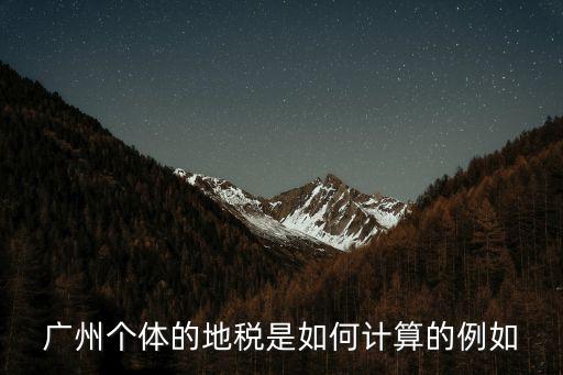 廣州地稅調稅，廣州個體工商地稅交多少錢