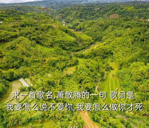 怎么說我不愛你歌詞