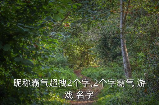 昵稱霸氣超拽2個字,2個字霸氣 游戲 名字
