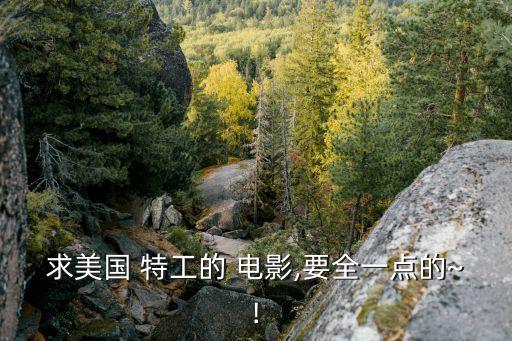 美國特工電影,好看的美國特工電影