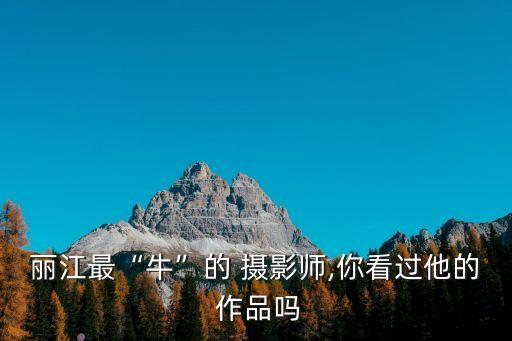 攝影作品