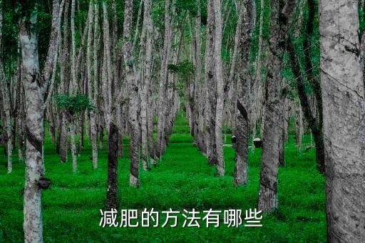 減肥法