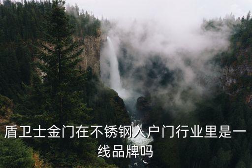 盾衛士金門在不銹鋼入戶門行業里是一線品牌嗎