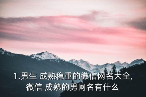 1.男生 成熟穩重的微信網名大全,微信 成熟的男網名有什么