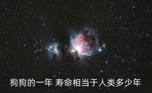 狗壽命,狗狗壽命多少?一般來(lái)說(shuō)1014年最長(zhǎng)壽