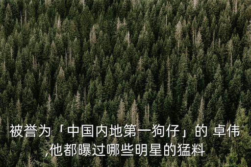 卓偉是誰,如何評價(jià)卓偉?卓偉的背后