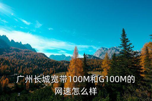 廣州長城寬帶100M和G100M的網(wǎng)速怎么樣