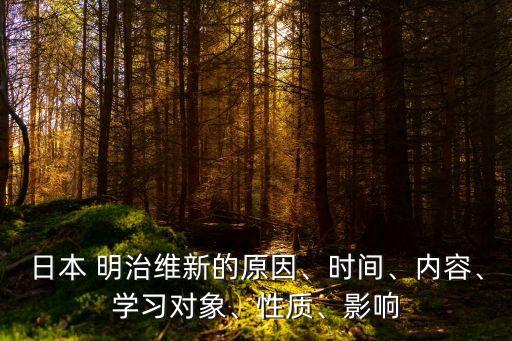 明治維新時間,戊戌變法明治維新時間