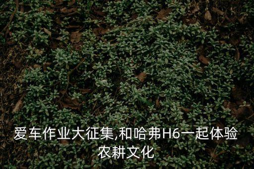 愛車作業(yè)大征集,和哈弗H6一起體驗(yàn)農(nóng)耕文化