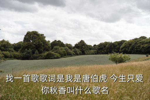 今生只愛你,今生只愛你一個歌曲:唐伯虎