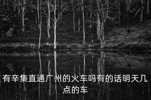 有辛集直通廣州的火車嗎有的話明天幾點的車