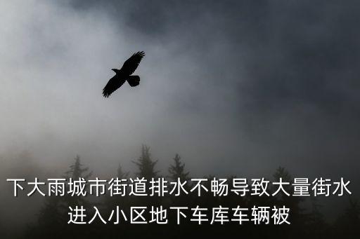 下大雨城市街道排水不暢導致大量街水進入小區地下車庫車輛被