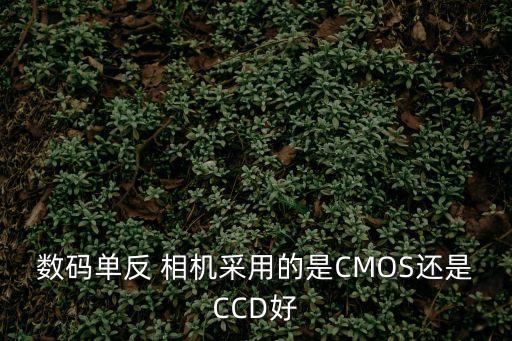 數(shù)碼單反 相機采用的是CMOS還是CCD好