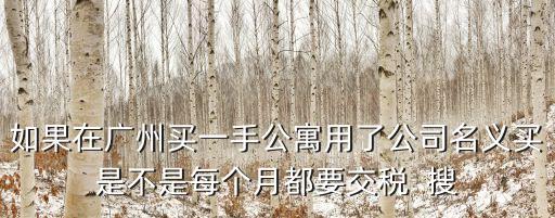 如果在廣州買一手公寓用了公司名義買是不是每個月都要交稅  搜
