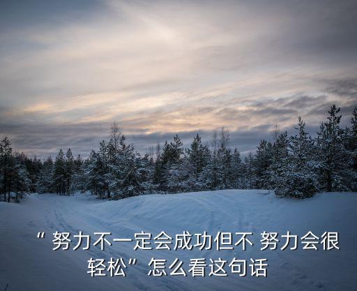 “ 努力不一定會成功但不 努力會很輕松”怎么看這句話