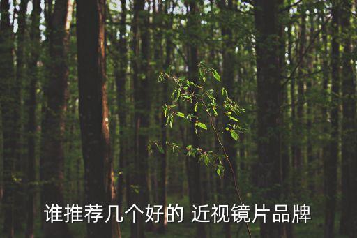 誰推薦幾個好的 近視鏡片品牌