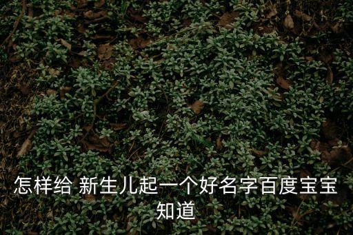 新生嬰兒取名,新生男嬰兒取名大全給寶寶取個好聽又有意義的名字