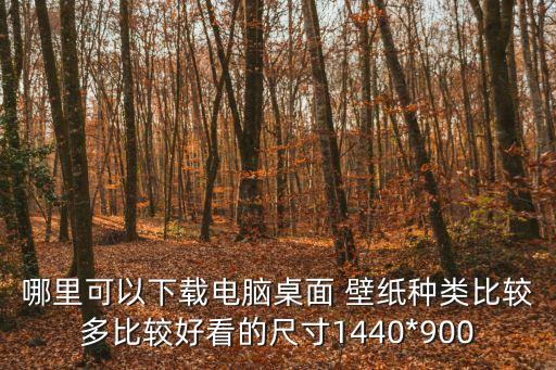 哪里可以下載電腦桌面 壁紙種類比較多比較好看的尺寸1440*900