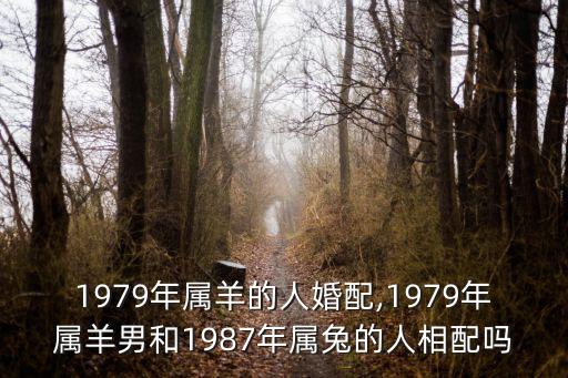 1979年屬羊的人婚配,1979年屬羊男和1987年屬兔的人相配嗎
