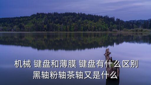 什么是機械鍵盤