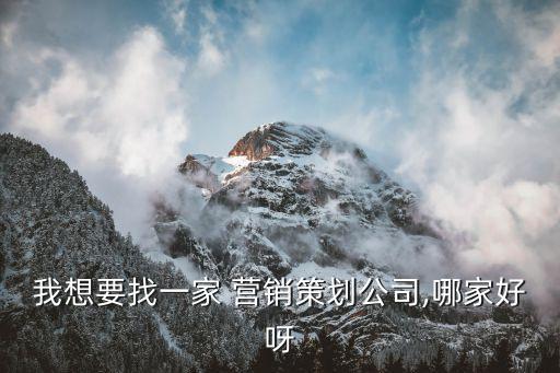 采納營銷