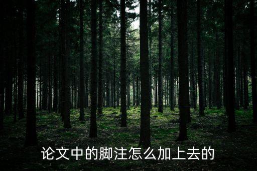論文中的腳注怎么加上去的