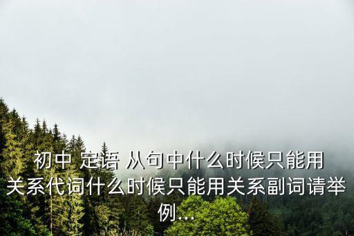  初中 定語 從句中什么時候只能用關系代詞什么時候只能用關系副詞請舉例...