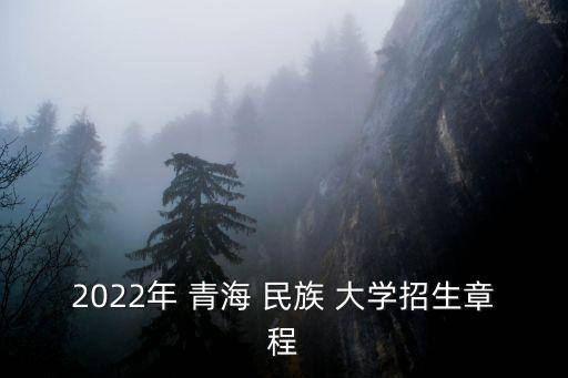 2022年 青海 民族 大學(xué)招生章程